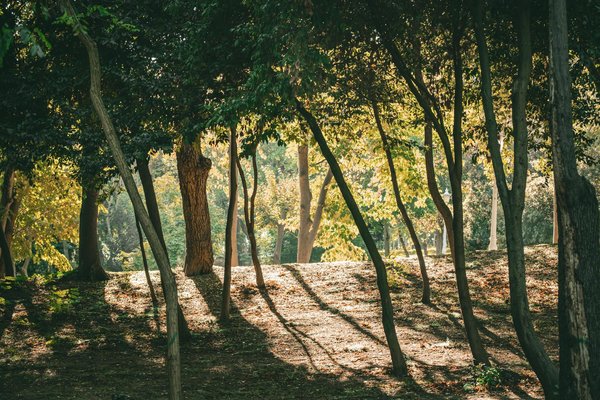 How Does Instant Casino Juventus Enhance Your Gaming Experience Online?